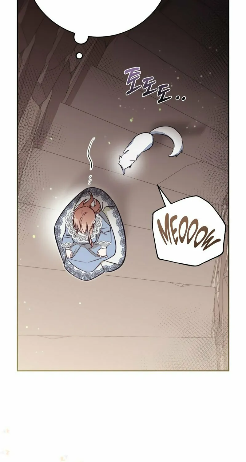 There Is No Place for Fakes Chapter 78 page 7 - 