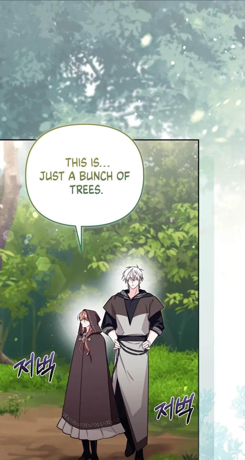 There Is No Place for Fakes Chapter 79 page 46 - 