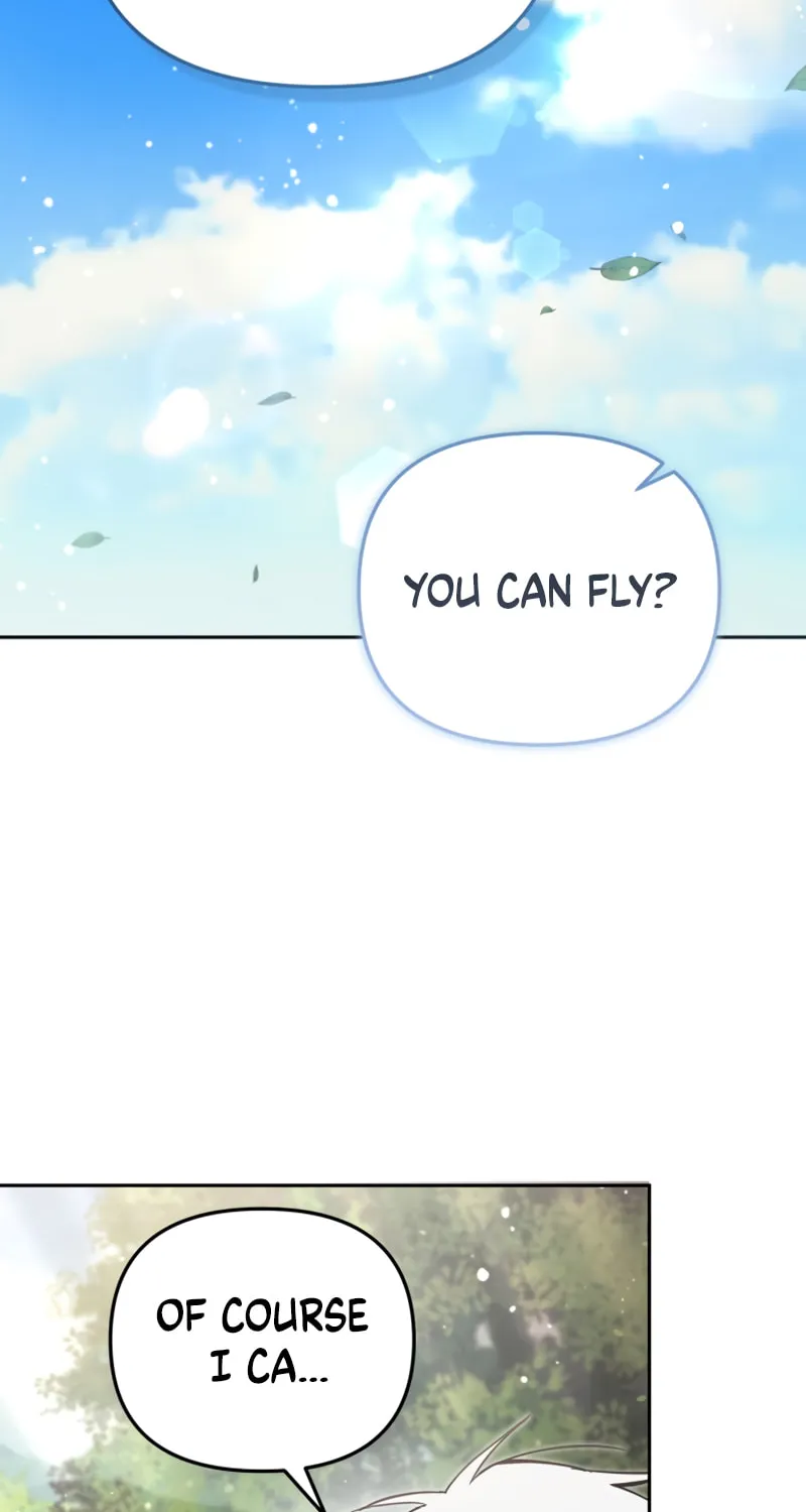 There Is No Place for Fakes Chapter 79 page 66 - 