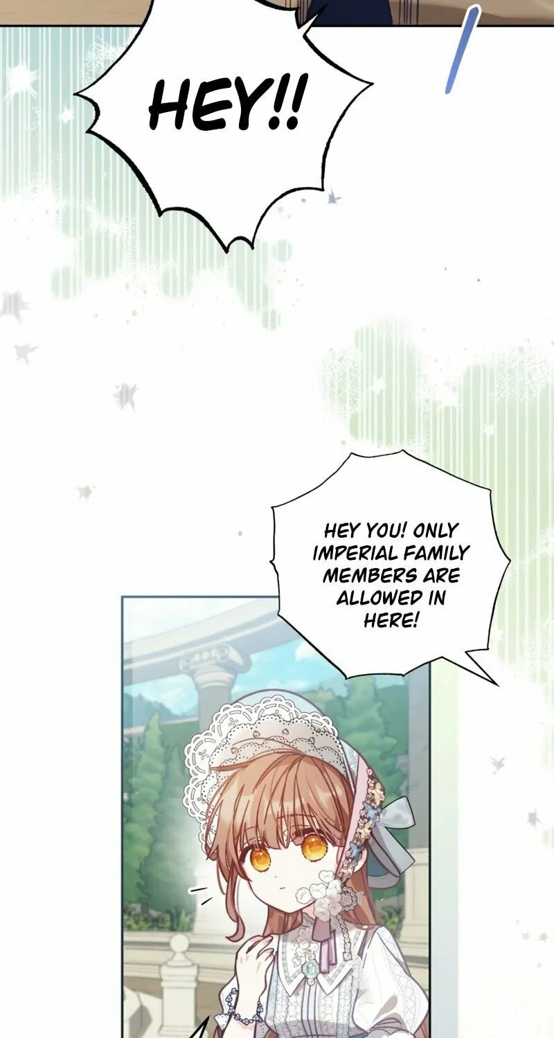 There Is No Place for Fakes Chapter 8 page 47 - 