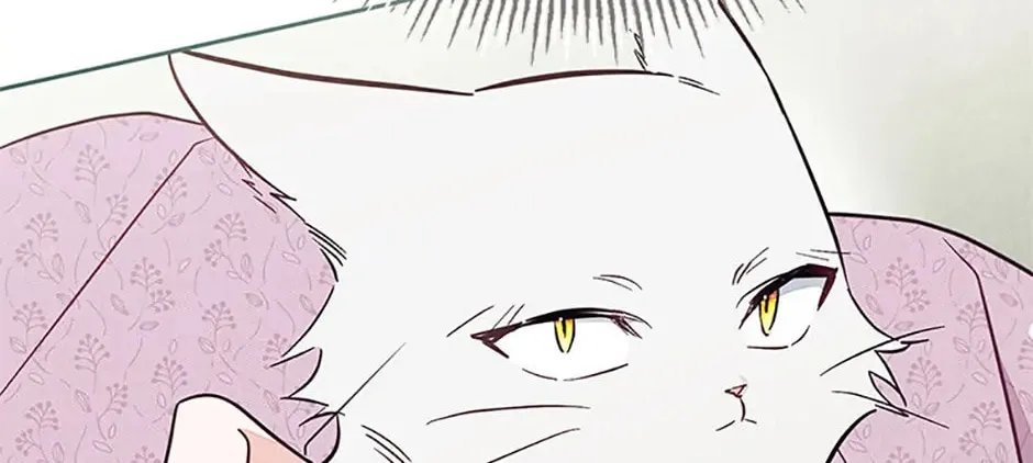 There Is No Place for Fakes Chapter 83 page 16 - 