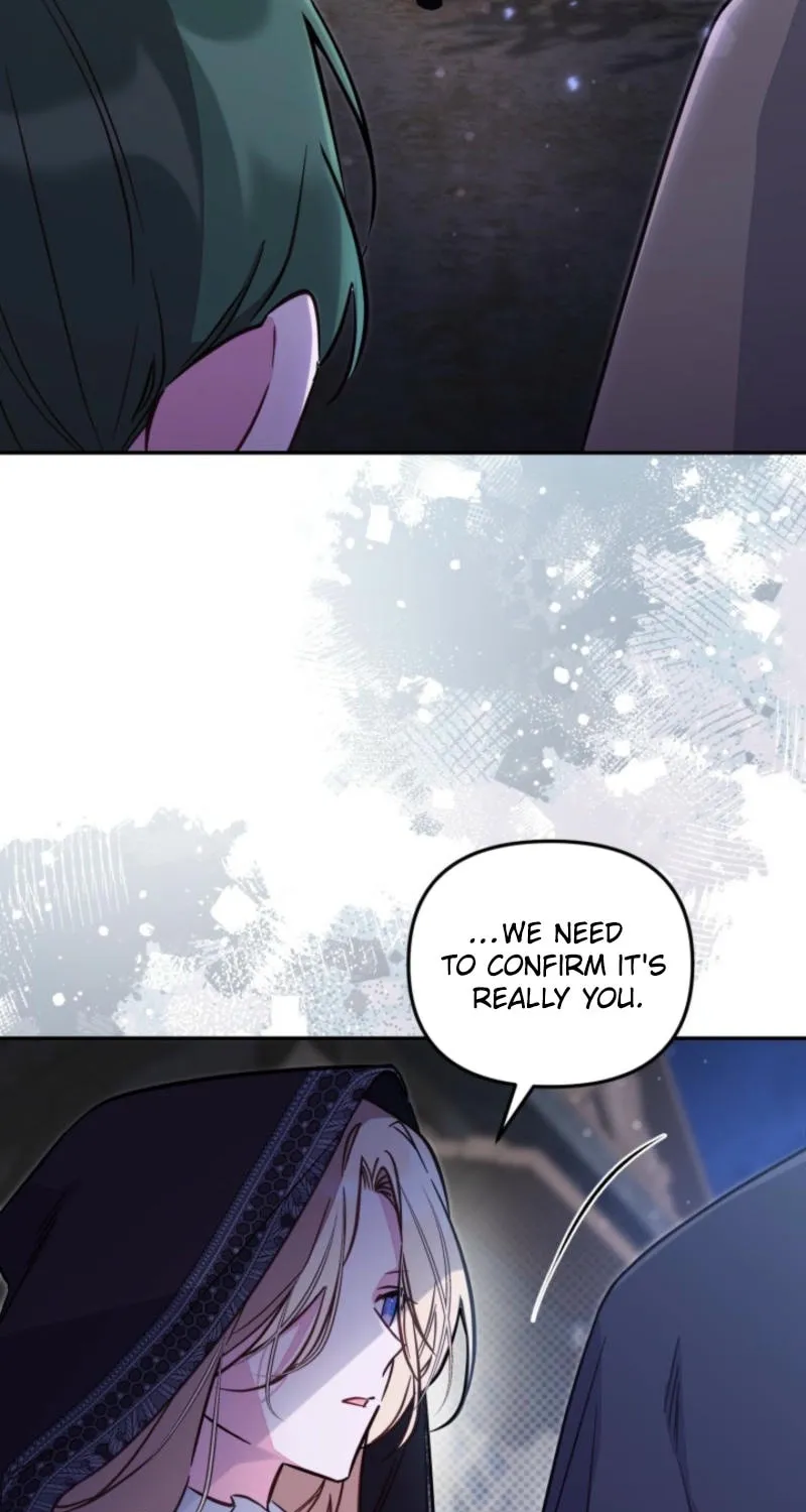 There Is No Place for Fakes Chapter 89 page 27 - 
