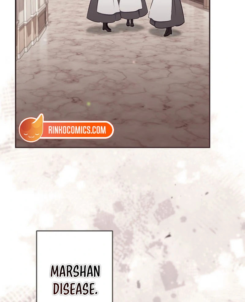 There Is No Place for Fakes Chapter 98 page 17 - 