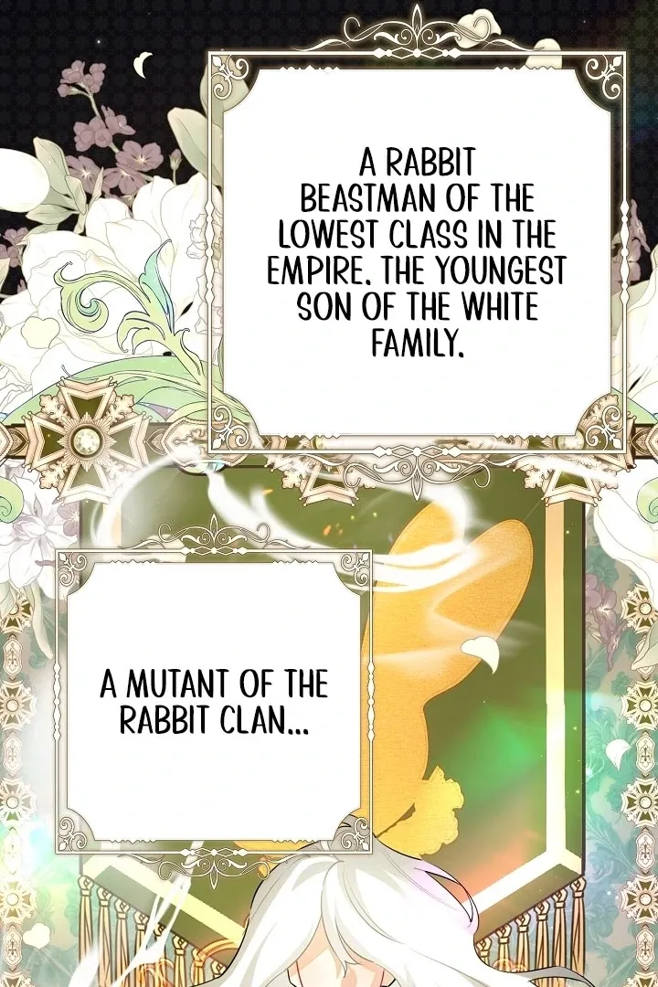 there-s-no-way-id-be-satisfied-with-a-rabbit-husband Chapter 11 page 103 - 