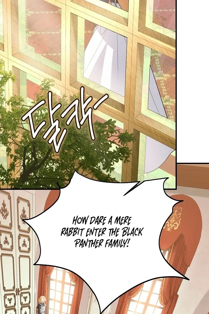 there-s-no-way-id-be-satisfied-with-a-rabbit-husband Chapter 11 page 15 - 