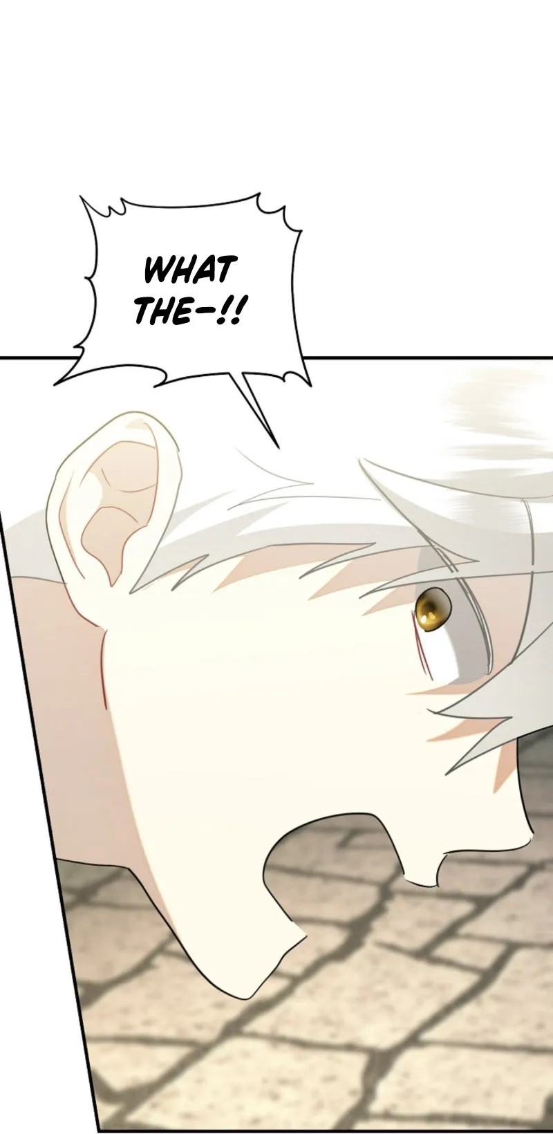there-s-no-way-id-be-satisfied-with-a-rabbit-husband Chapter 12 page 24 - 