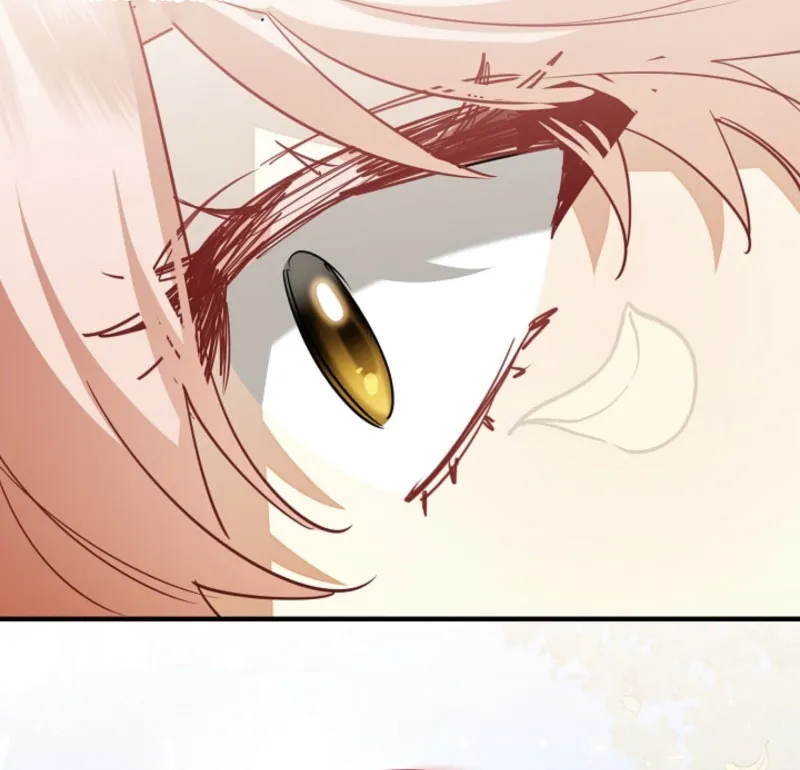 there-s-no-way-id-be-satisfied-with-a-rabbit-husband Chapter 12 page 89 - 