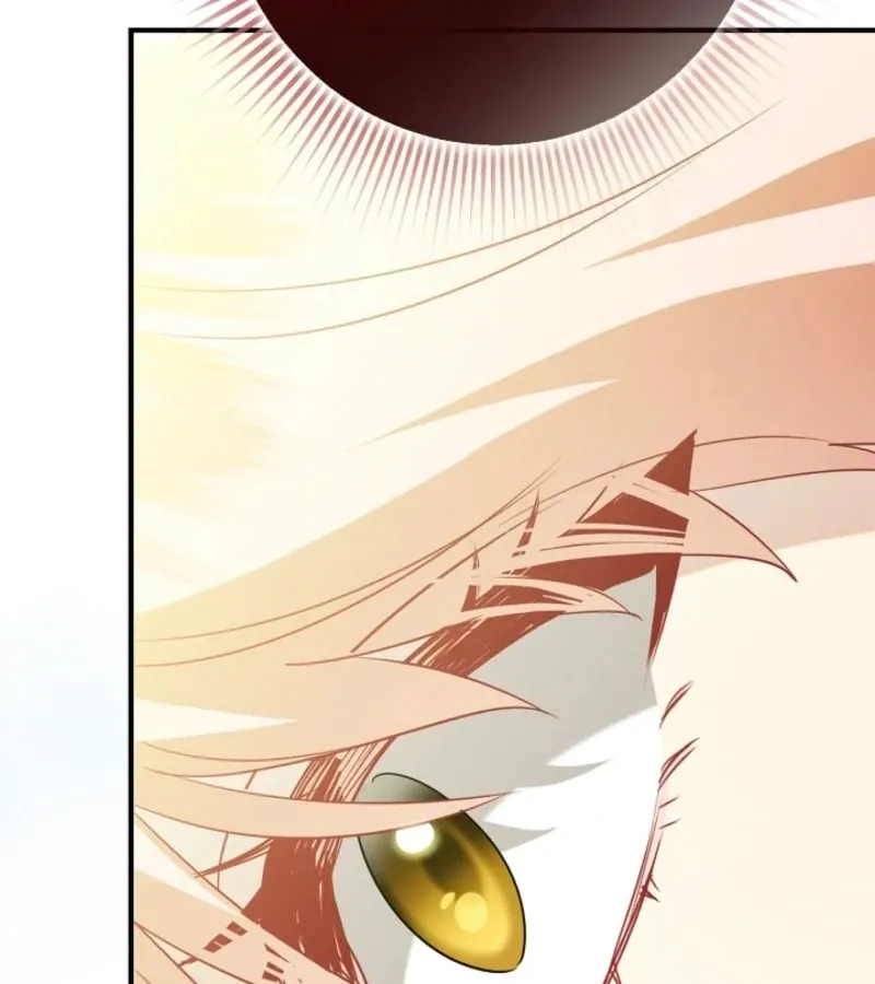 there-s-no-way-id-be-satisfied-with-a-rabbit-husband Chapter 14 page 101 - 