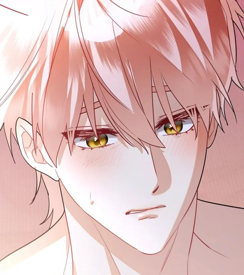there-s-no-way-id-be-satisfied-with-a-rabbit-husband Chapter 14 page 62 - 