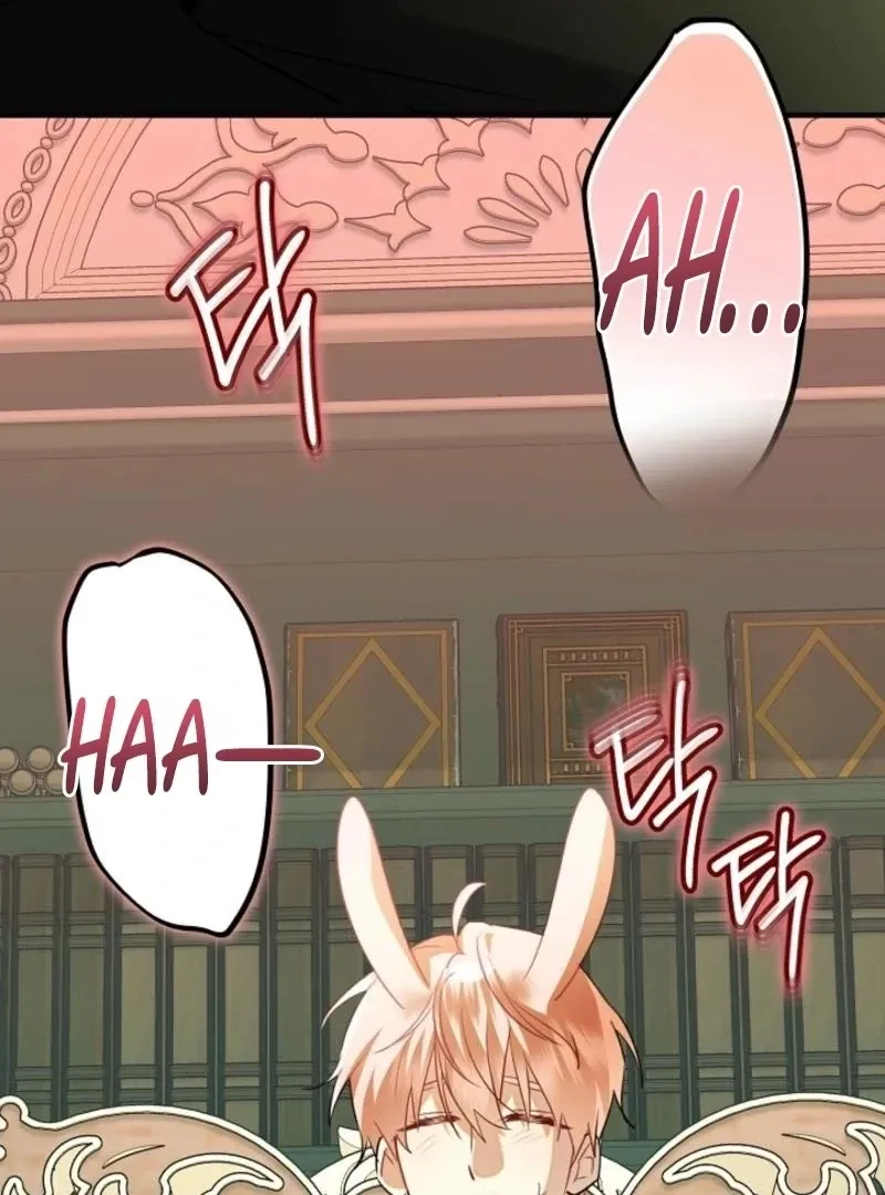 there-s-no-way-id-be-satisfied-with-a-rabbit-husband Chapter 15 page 40 - 