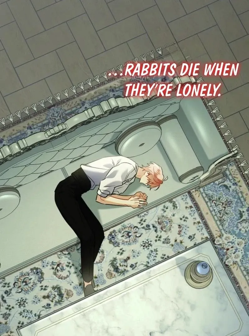 there-s-no-way-id-be-satisfied-with-a-rabbit-husband Chapter 15 page 89 - 
