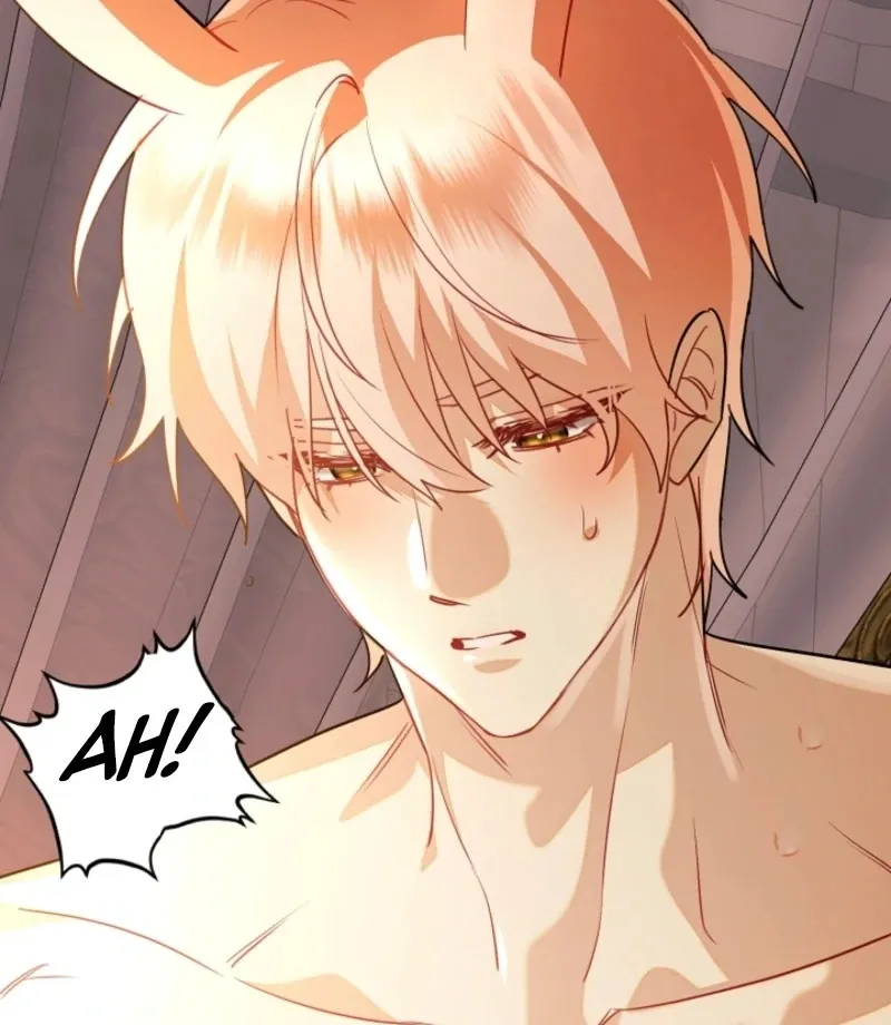 there-s-no-way-id-be-satisfied-with-a-rabbit-husband Chapter 16 page 116 - 