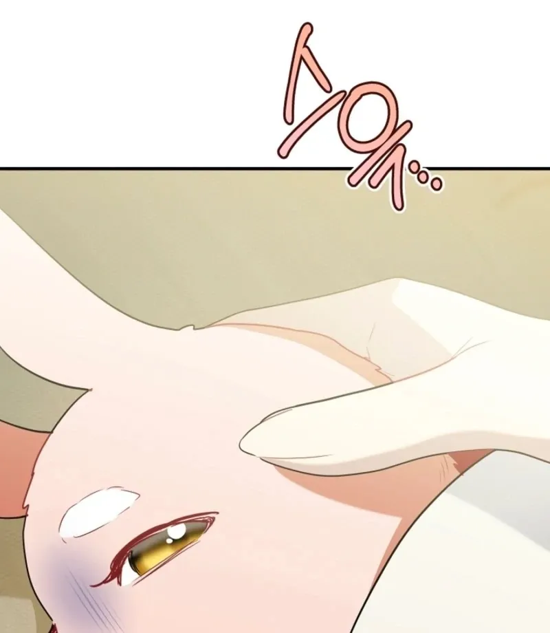 there-s-no-way-id-be-satisfied-with-a-rabbit-husband Chapter 16 page 60 - 
