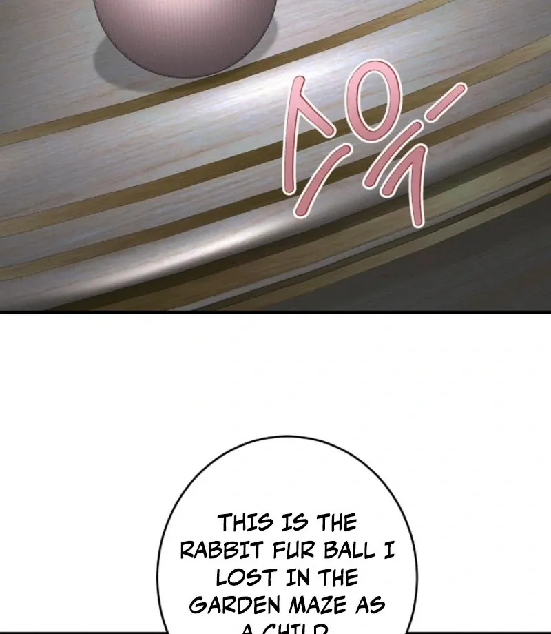 there-s-no-way-id-be-satisfied-with-a-rabbit-husband Chapter 24 page 11 - 