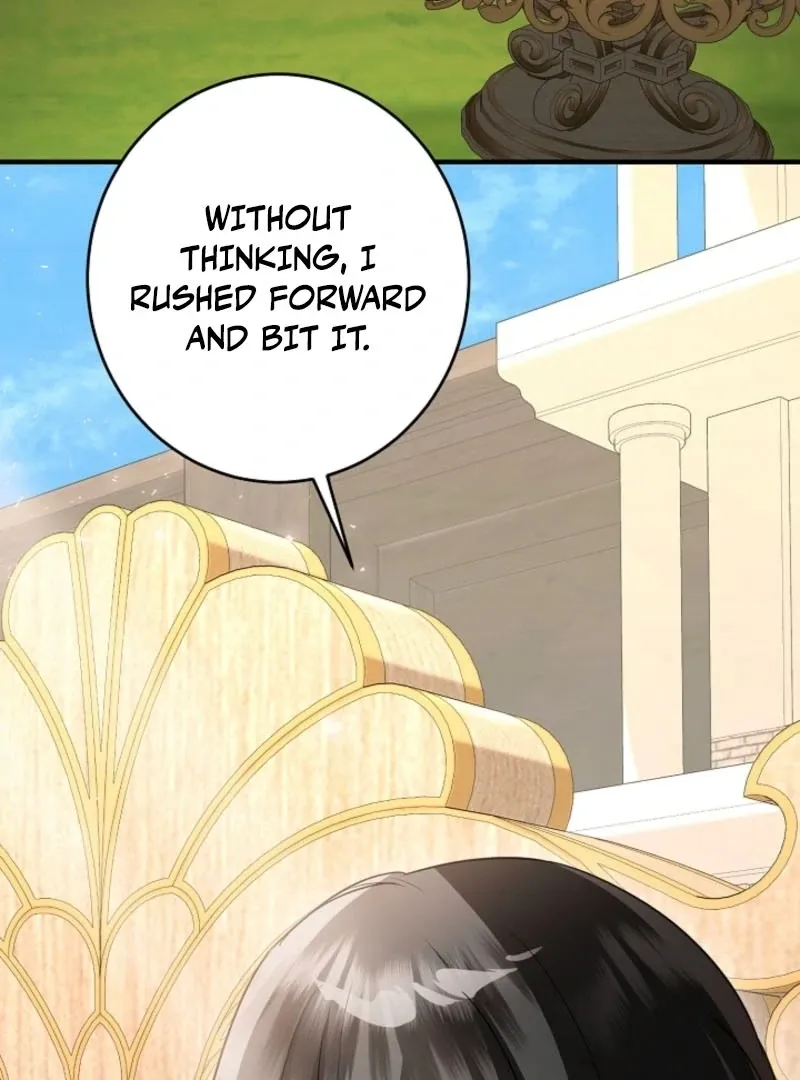 there-s-no-way-id-be-satisfied-with-a-rabbit-husband Chapter 24 page 19 - 