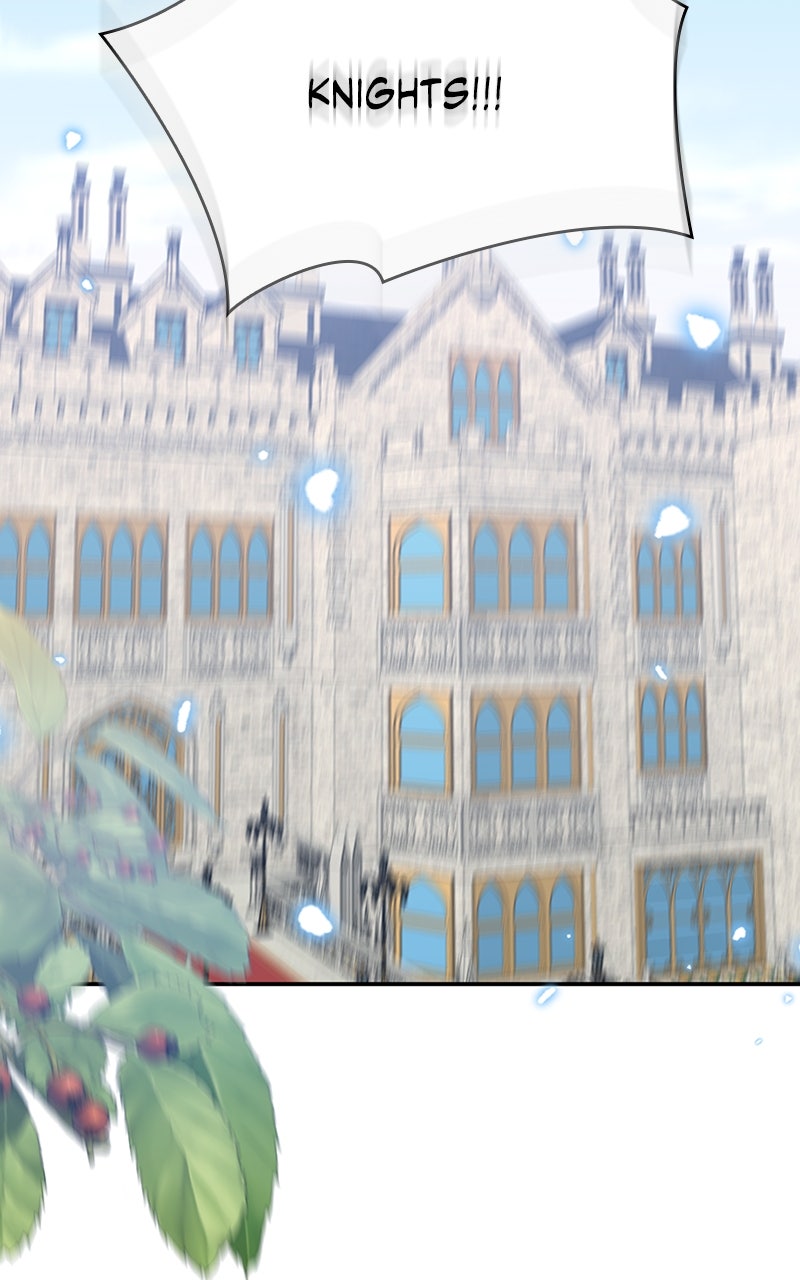 They All Live in the Little Lady