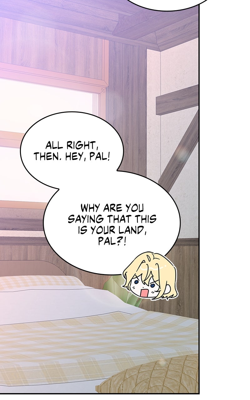They All Live in the Little Lady