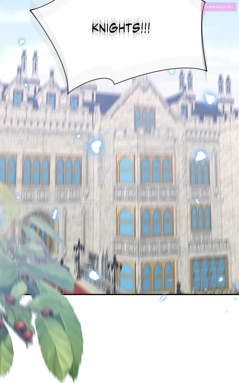 They All Live in the Little Lady
