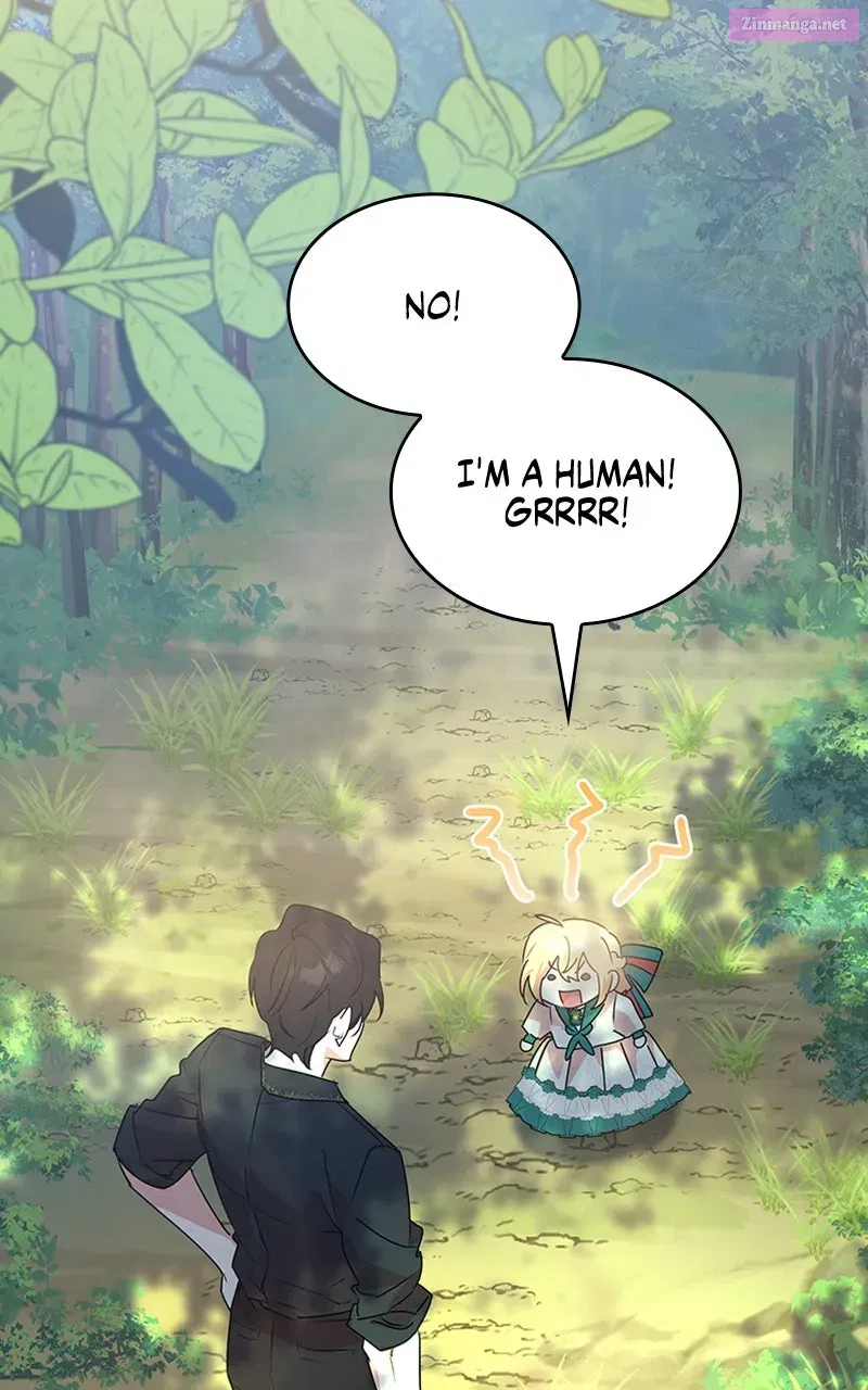They All Live in the Little Lady