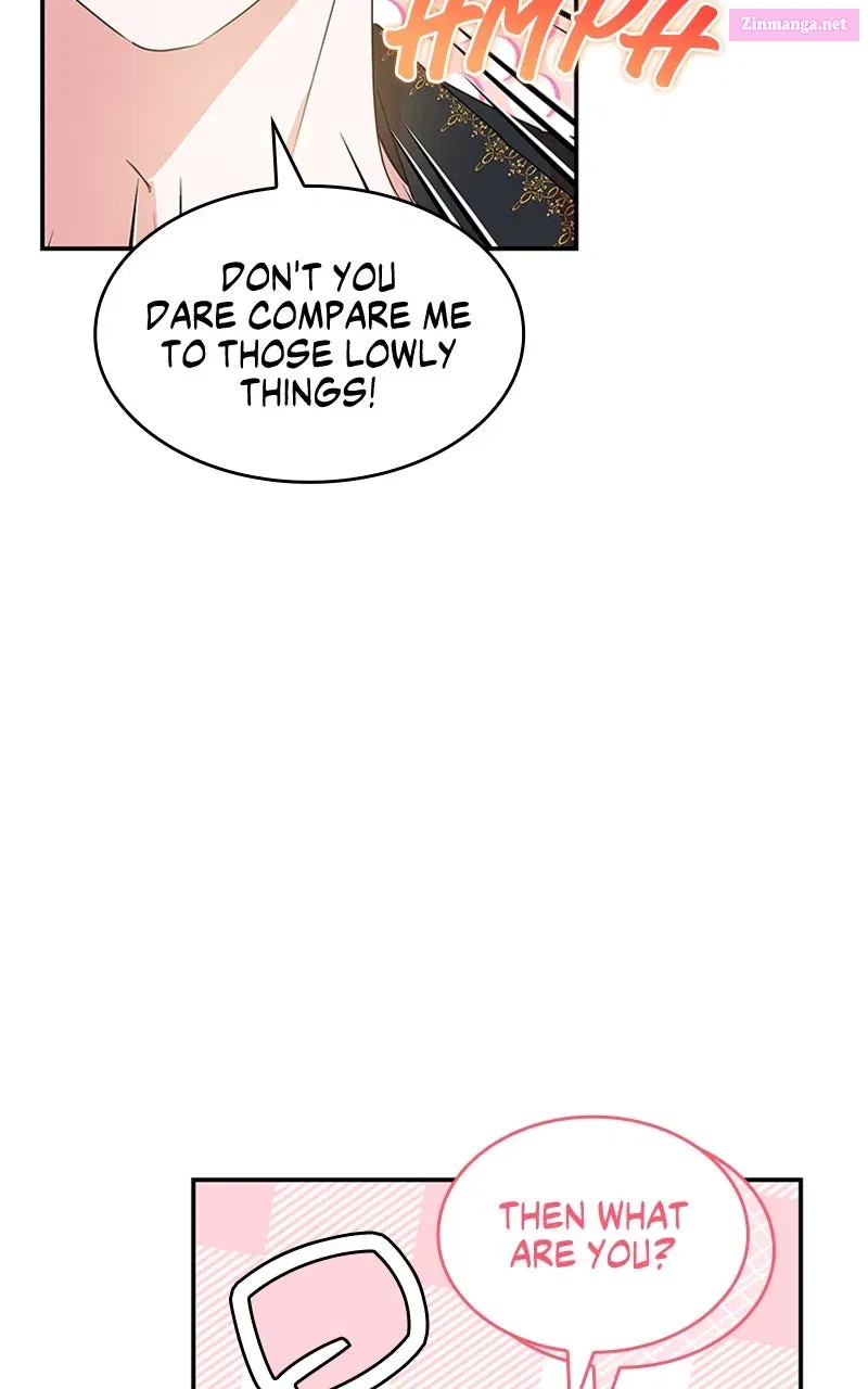 They All Live in the Little Lady