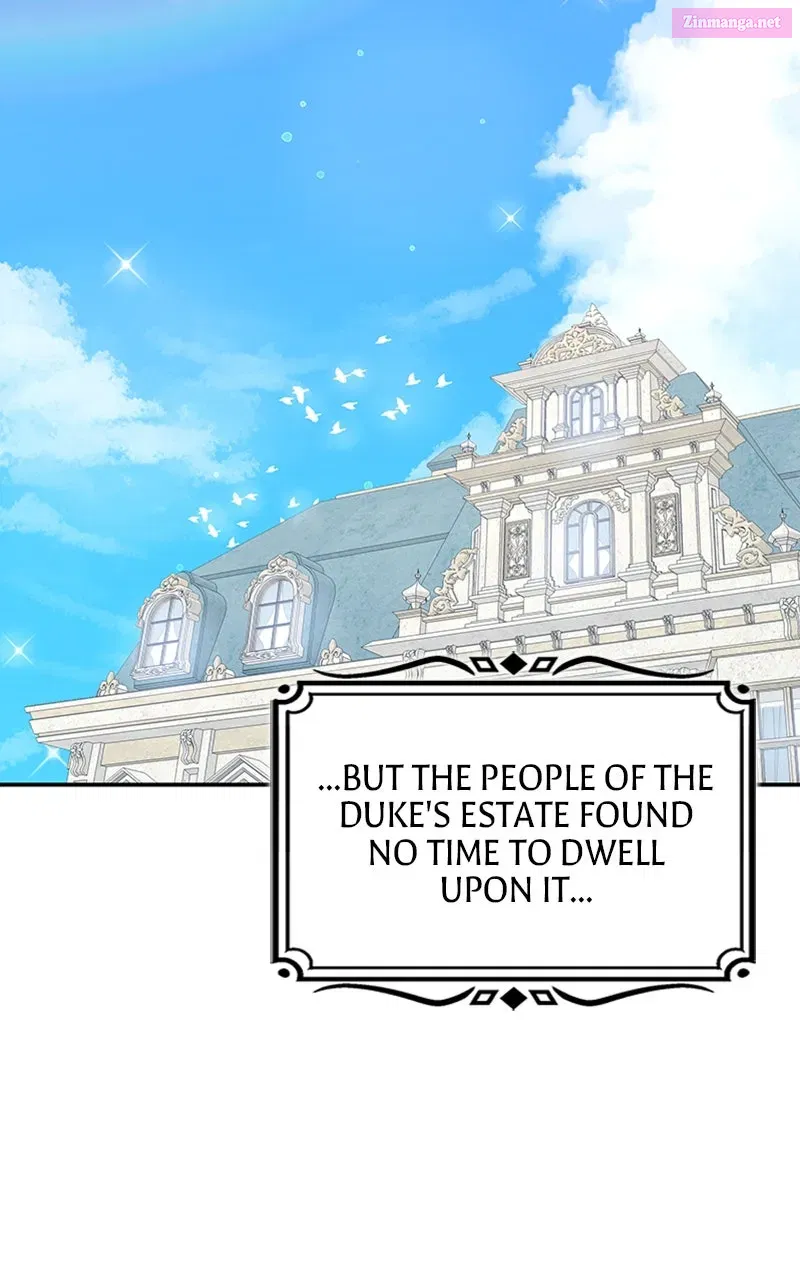 They All Live in the Little Lady