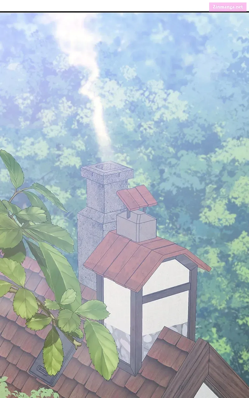 They All Live in the Little Lady