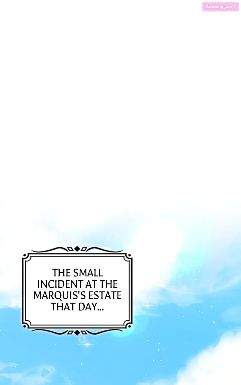 They All Live in the Little Lady