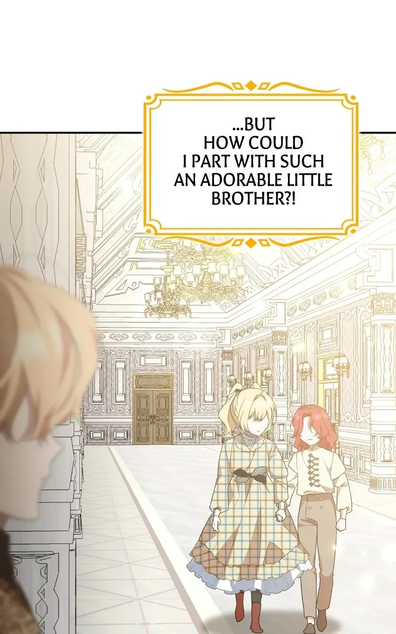 They All Live in the Little Lady