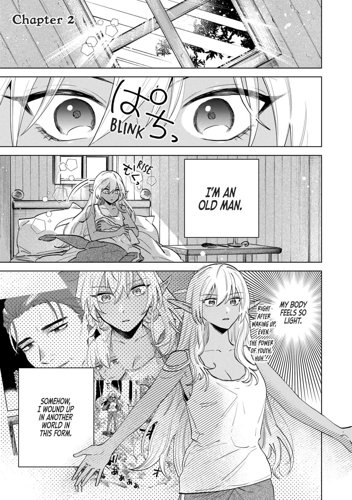 This Alluring Dark Elf Has the Heart of a Middle-Aged Man! Chapter 2 page 1 - 