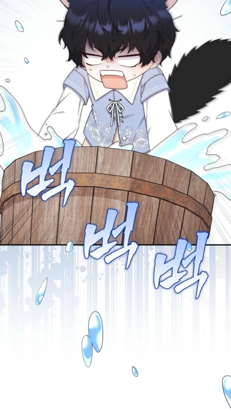 This Emperor Commits Marriage Fraud Chapter 11 page 37 - 