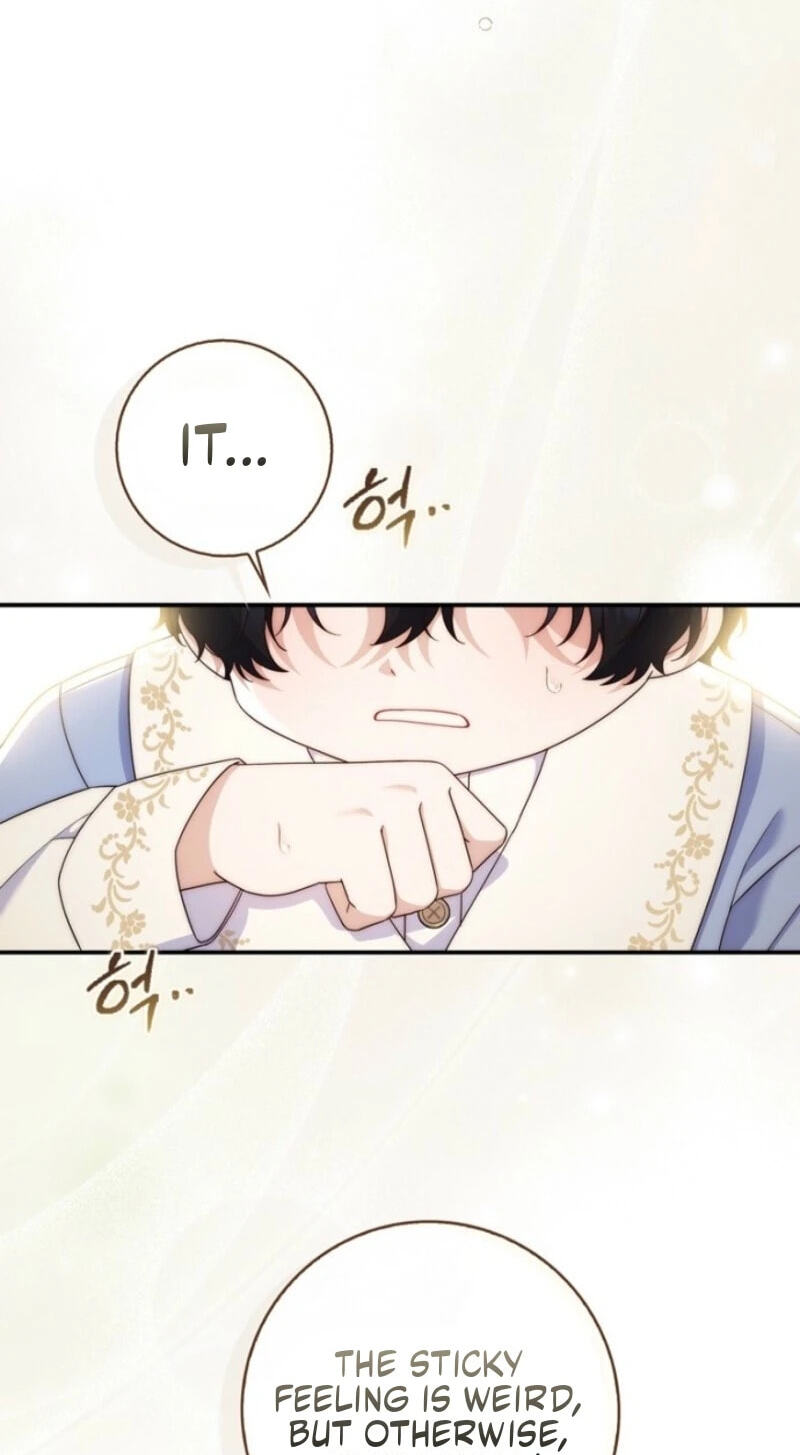 This Emperor Commits Marriage Fraud Chapter 11 page 39 - 