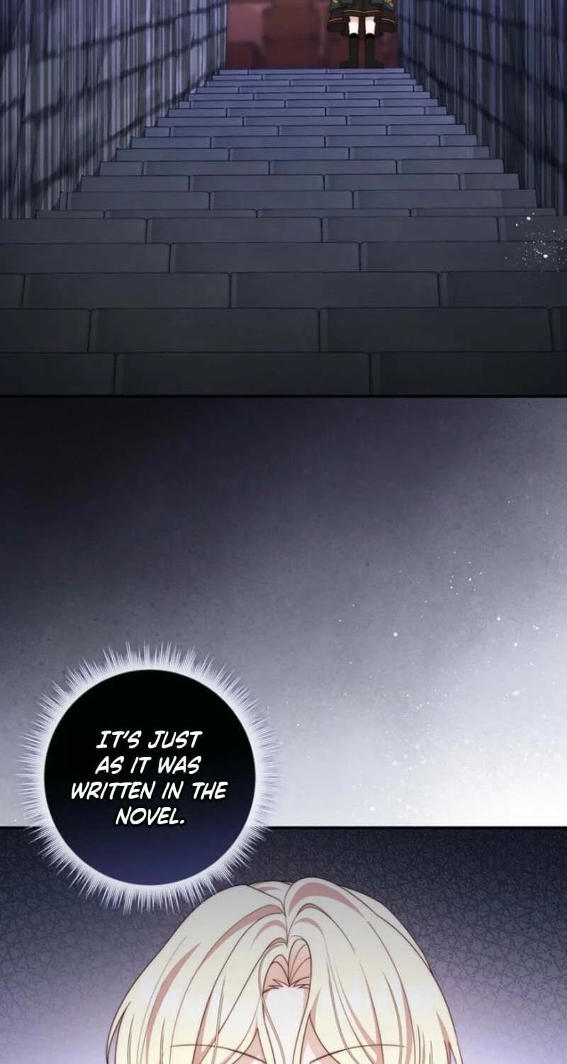 This Emperor Commits Marriage Fraud Chapter 16 page 64 - 
