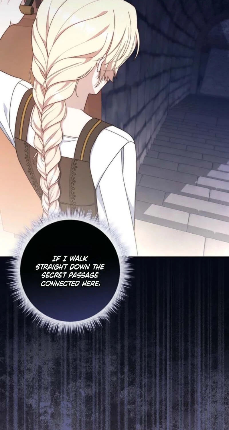 This Emperor Commits Marriage Fraud Chapter 16 page 66 - 