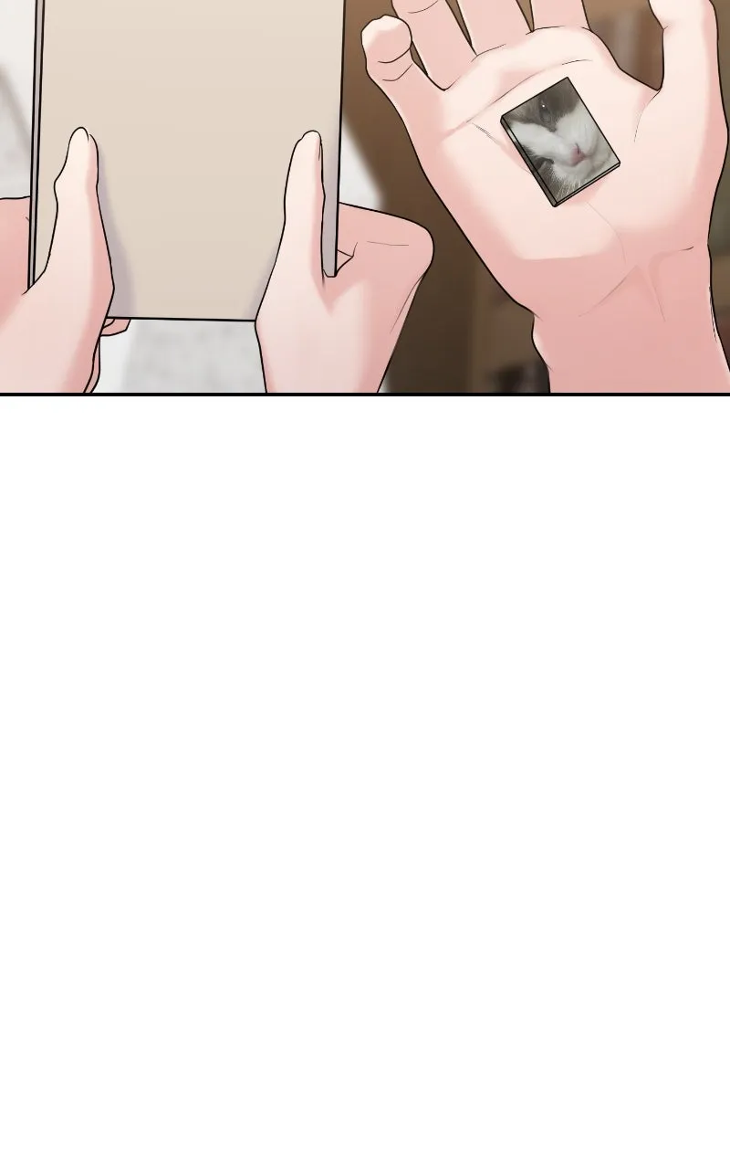 This is a Campus Romance Series Chapter 88 page 54 - 