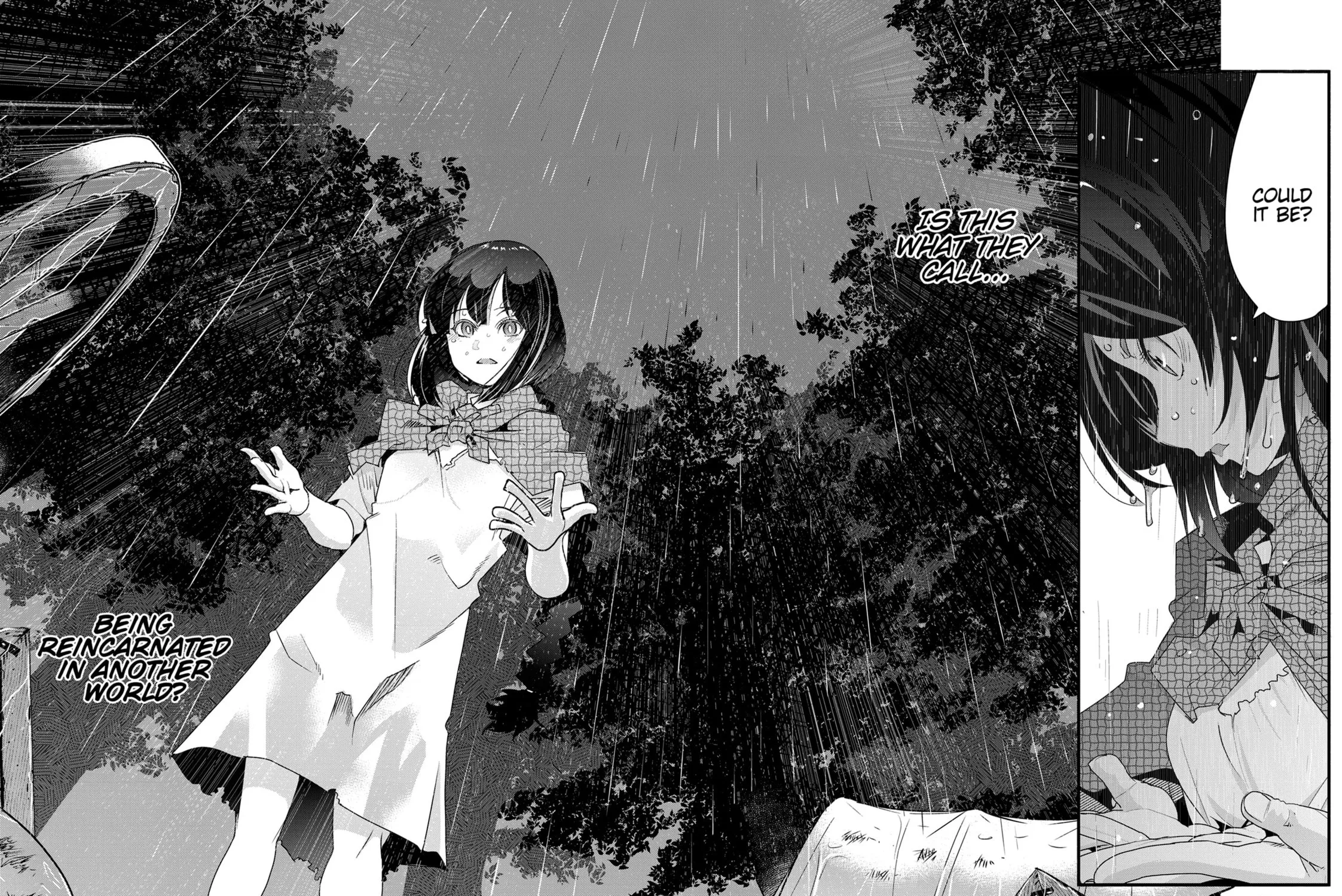 This is Screwed Up, but I Was Reincarnated as a GIRL in Another World! Chapter 1 page 17 - 