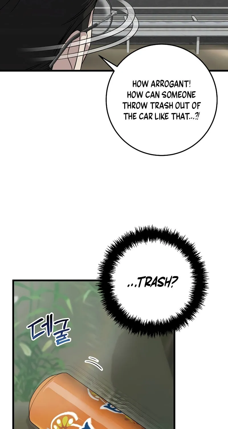 This is the Law Chapter 155 page 41 - 