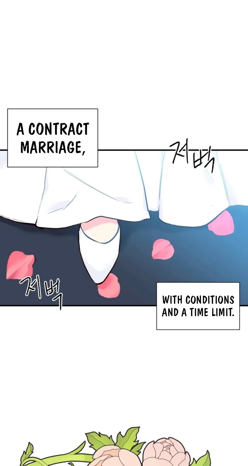 This Marriage Is Merely A Contract Chapter 1 page 65 - 