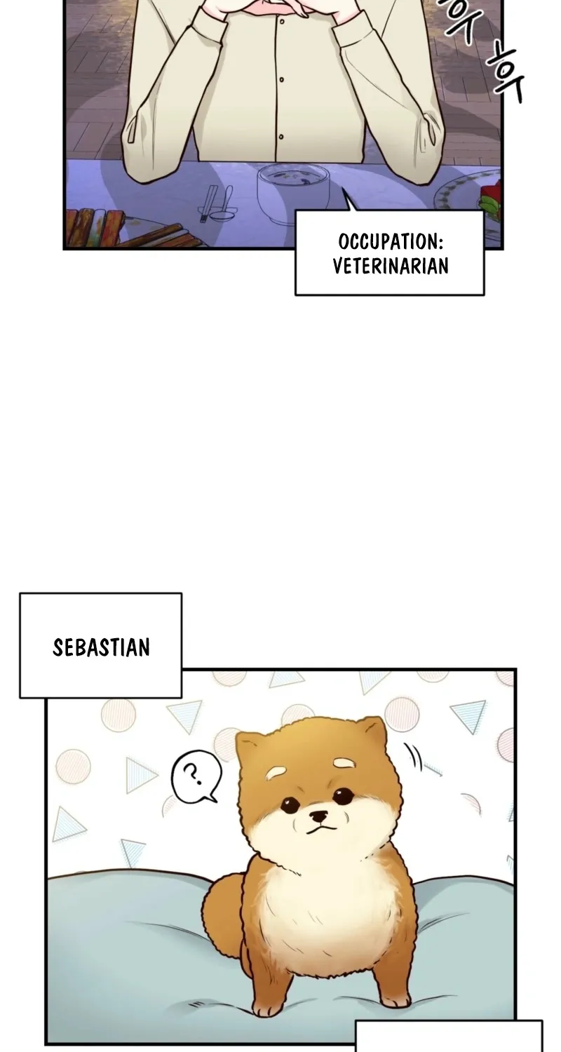 This Marriage Is Merely A Contract Chapter 11 page 14 - 