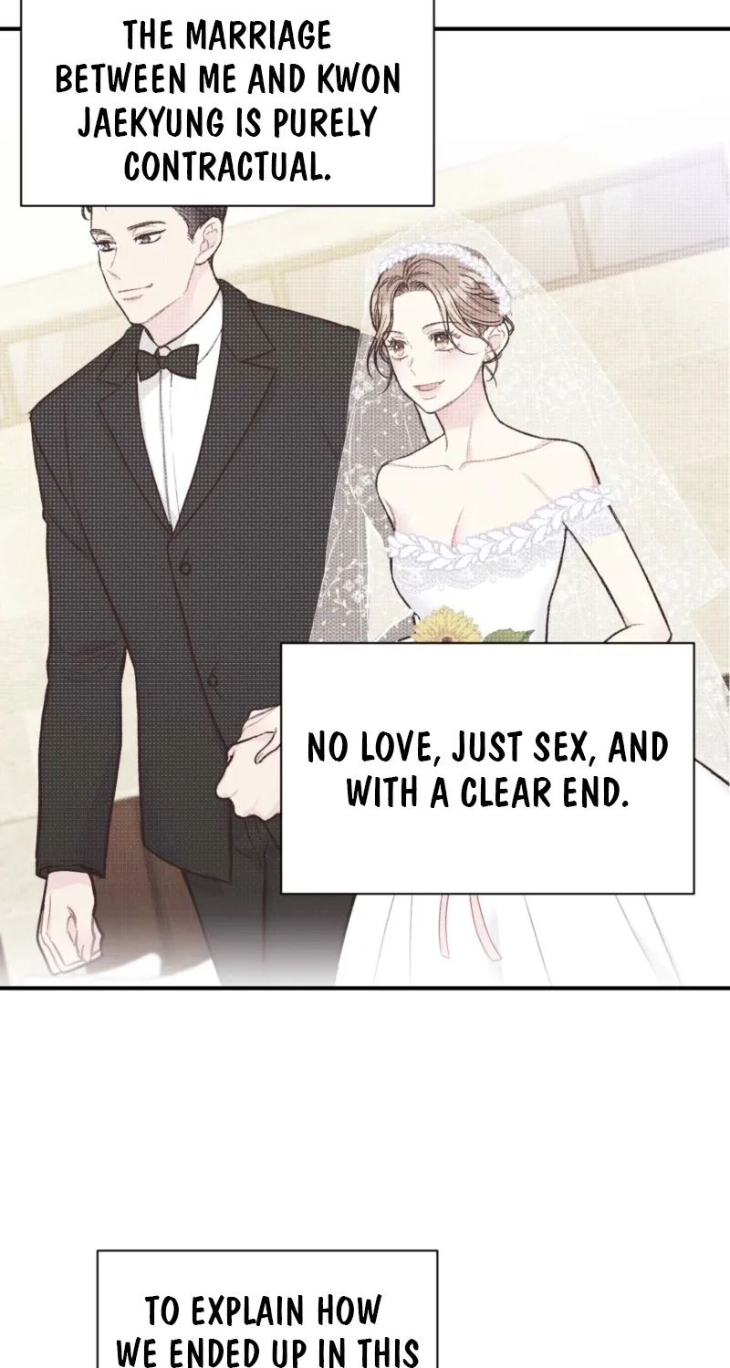 This Marriage Is Merely A Contract Chapter 2 page 17 - 