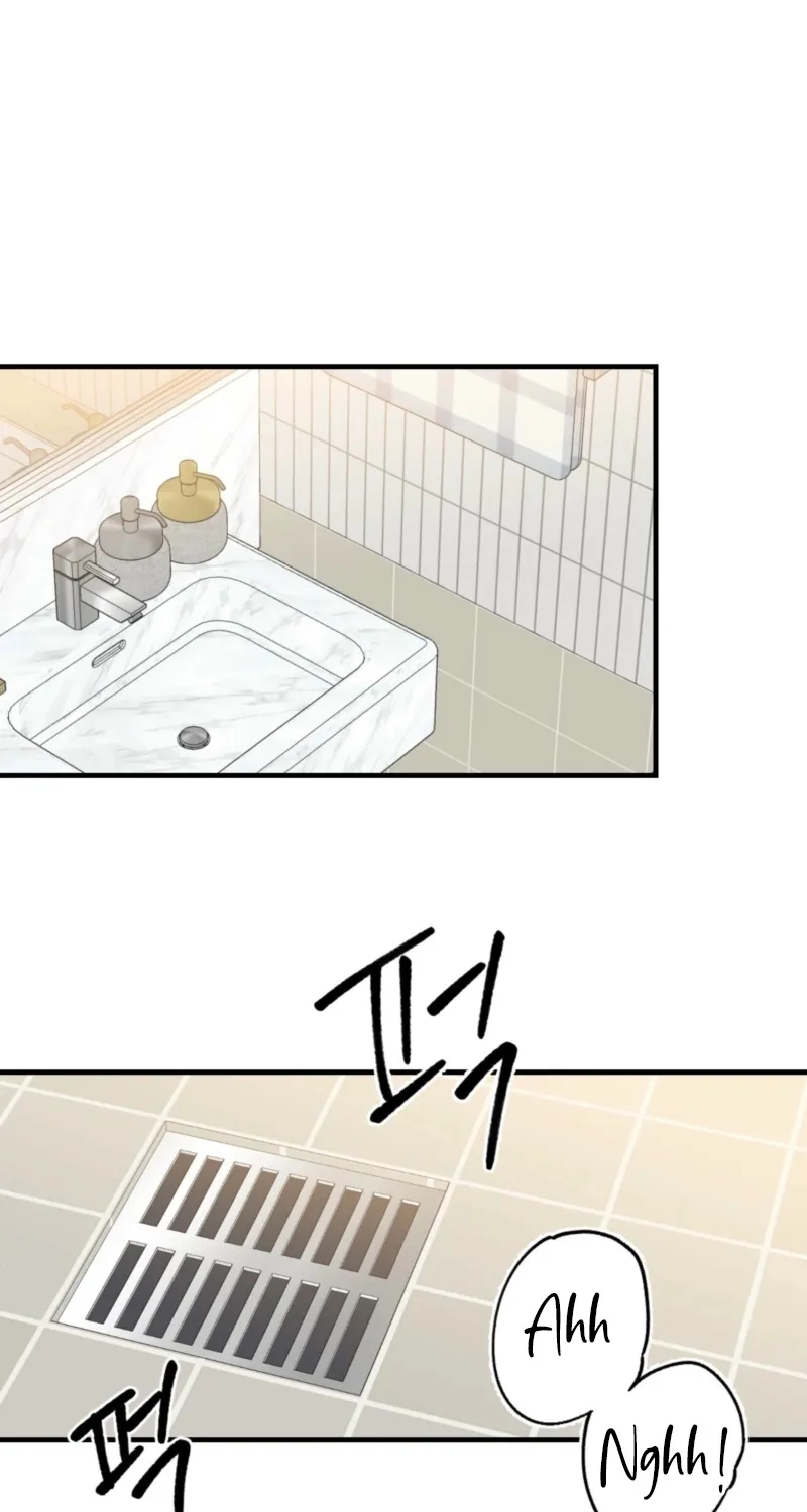 This Marriage Is Merely A Contract Chapter 24 page 2 - 