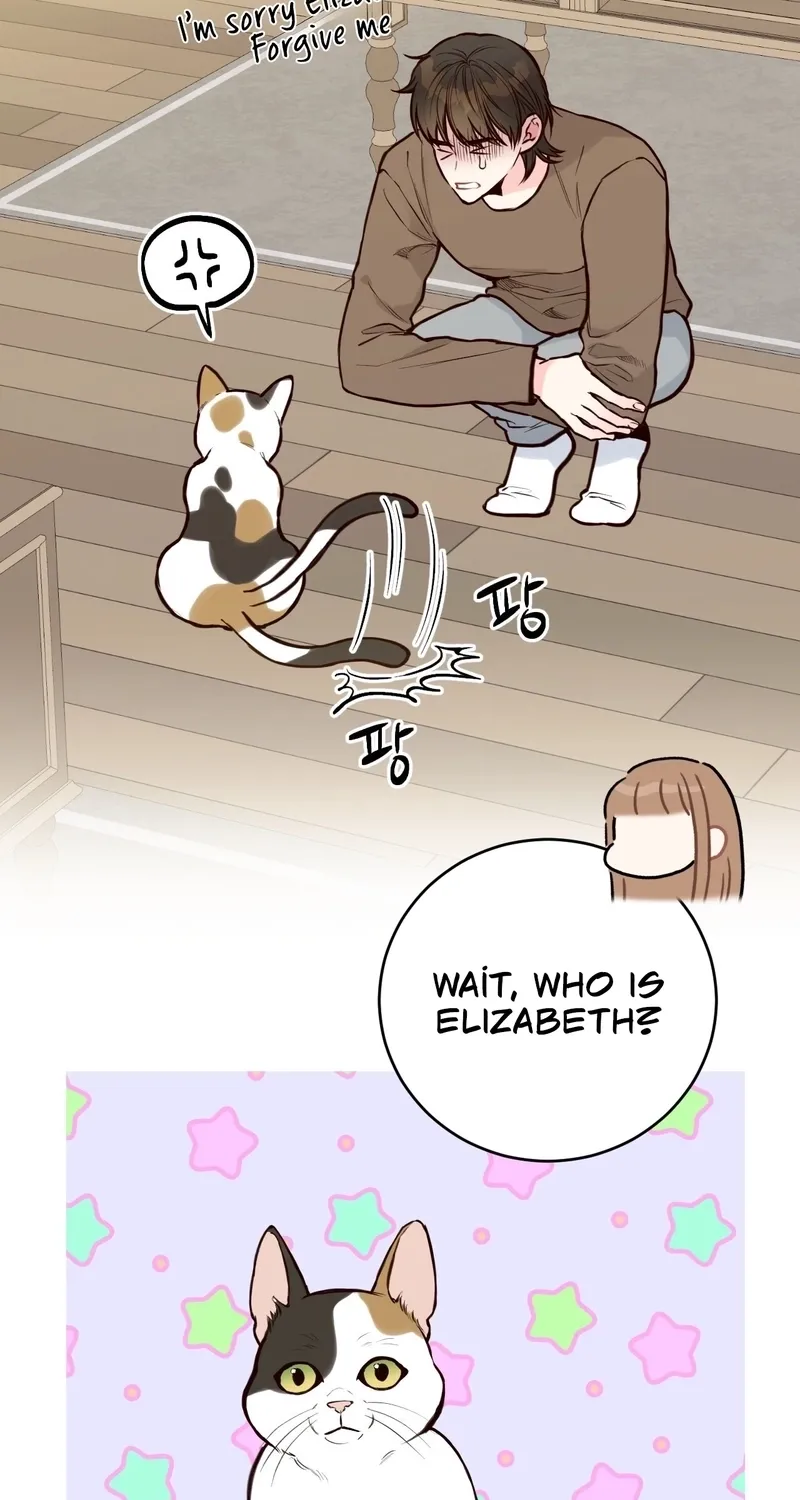 This Marriage Is Merely A Contract Chapter 39 page 51 - 
