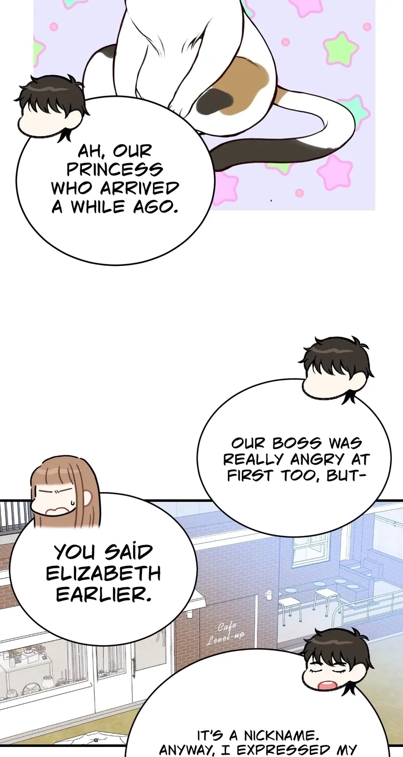This Marriage Is Merely A Contract Chapter 39 page 52 - 