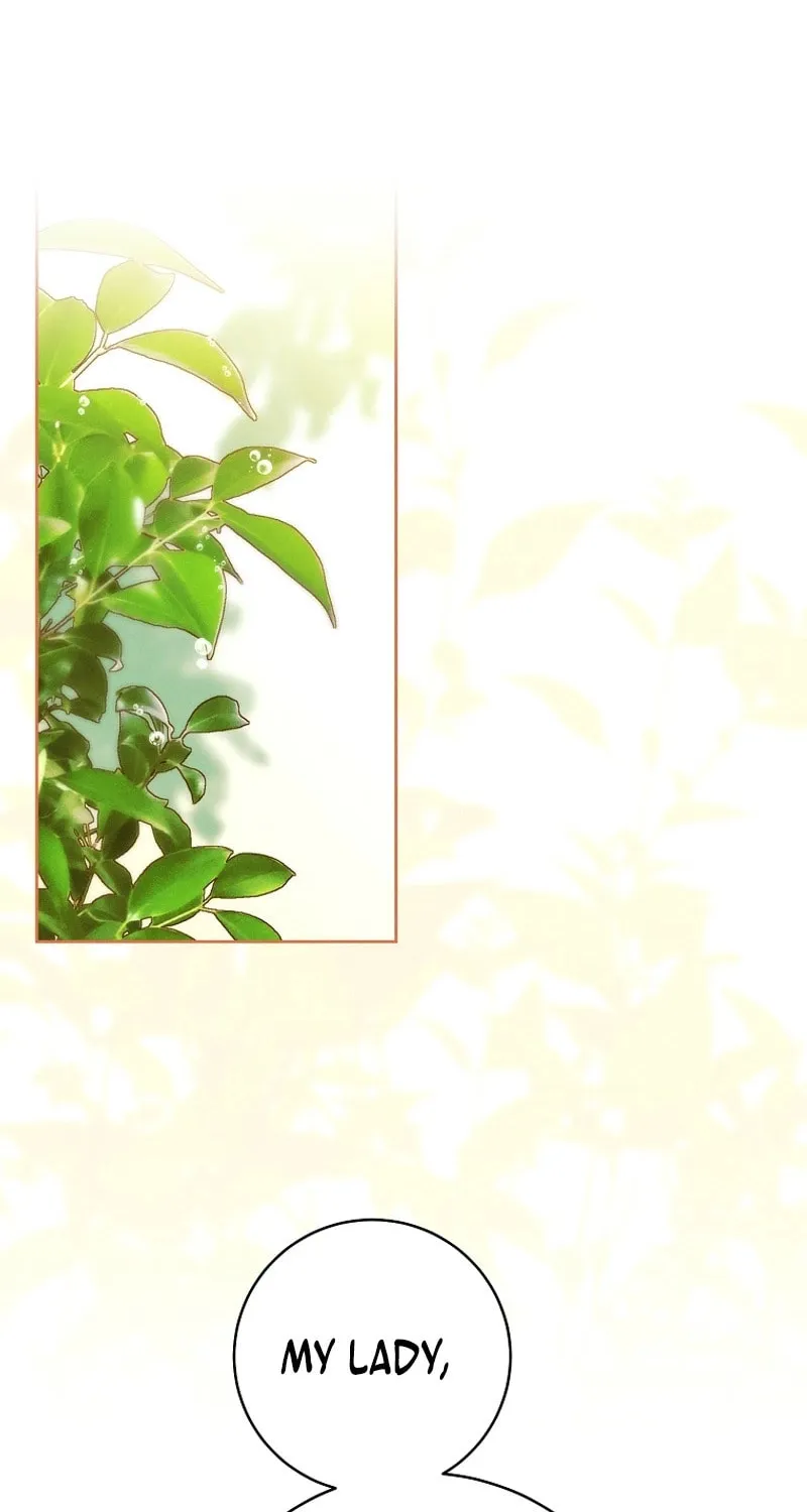 This Marriage Will Surely Succeed Chapter 16 page 2 - 