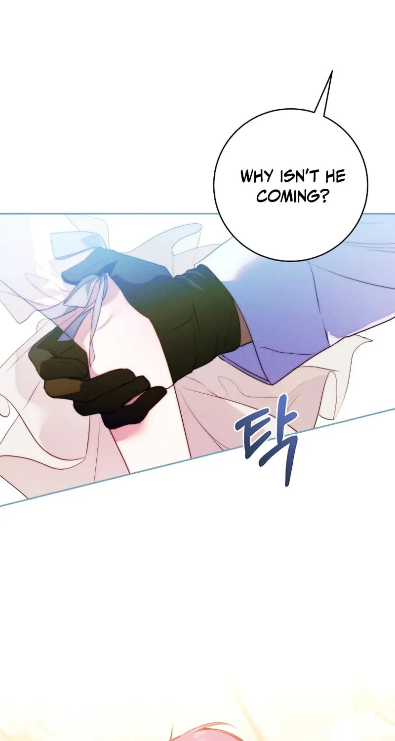 This Marriage Will Surely Succeed Chapter 19 page 25 - 