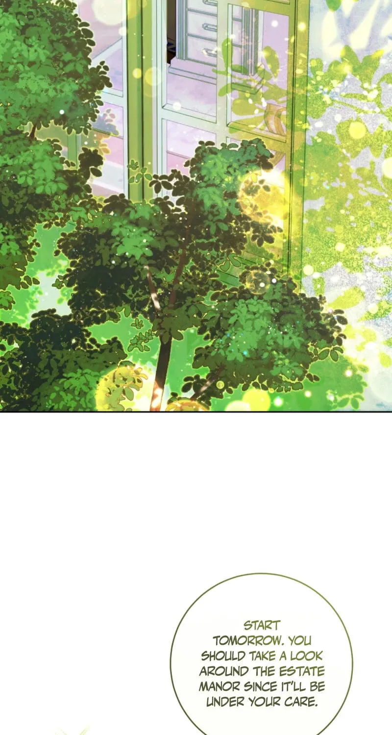 This Marriage Will Surely Succeed Chapter 34 page 3 - 