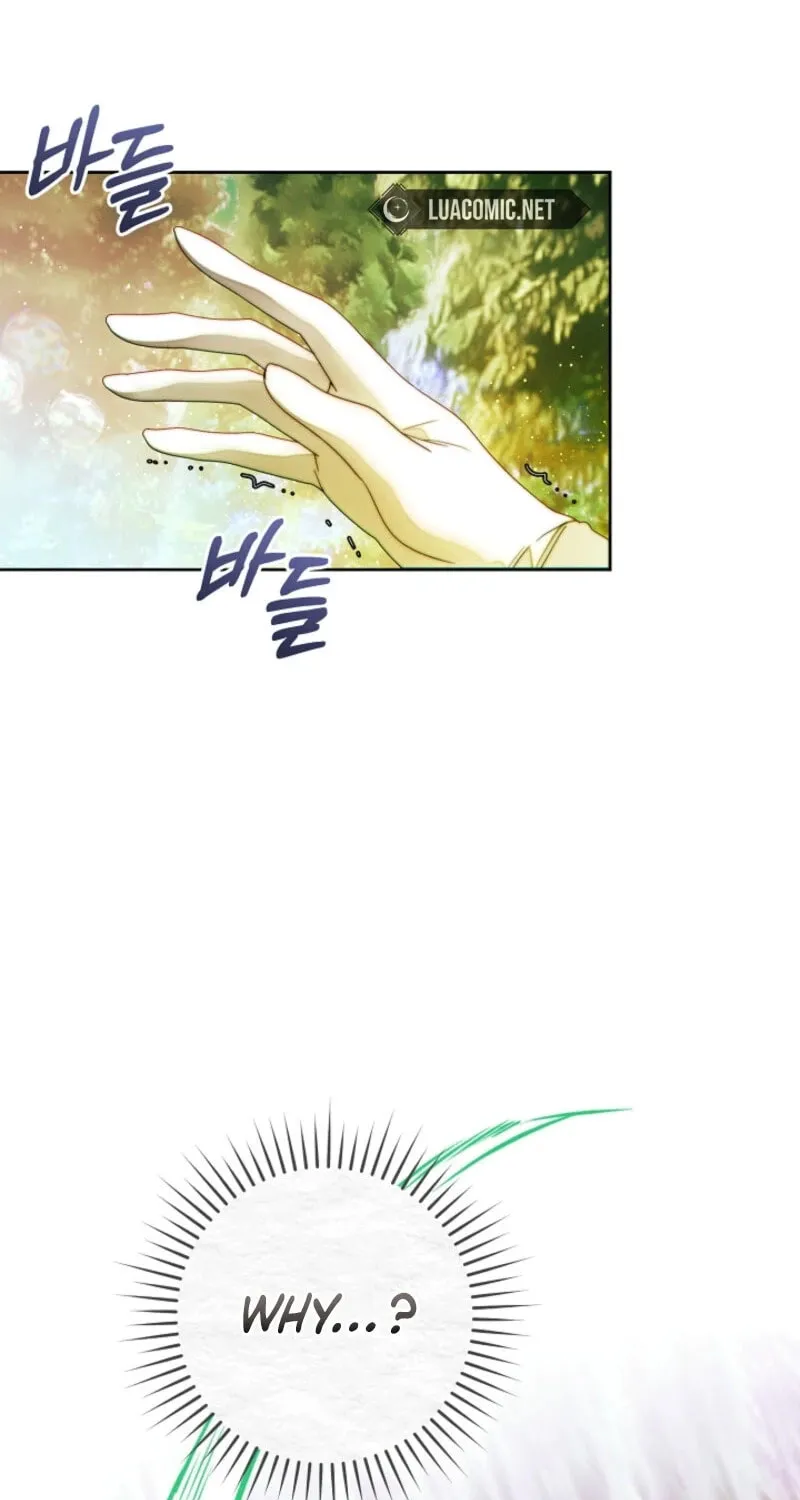 This Marriage Will Surely Succeed Chapter 39 page 5 - 