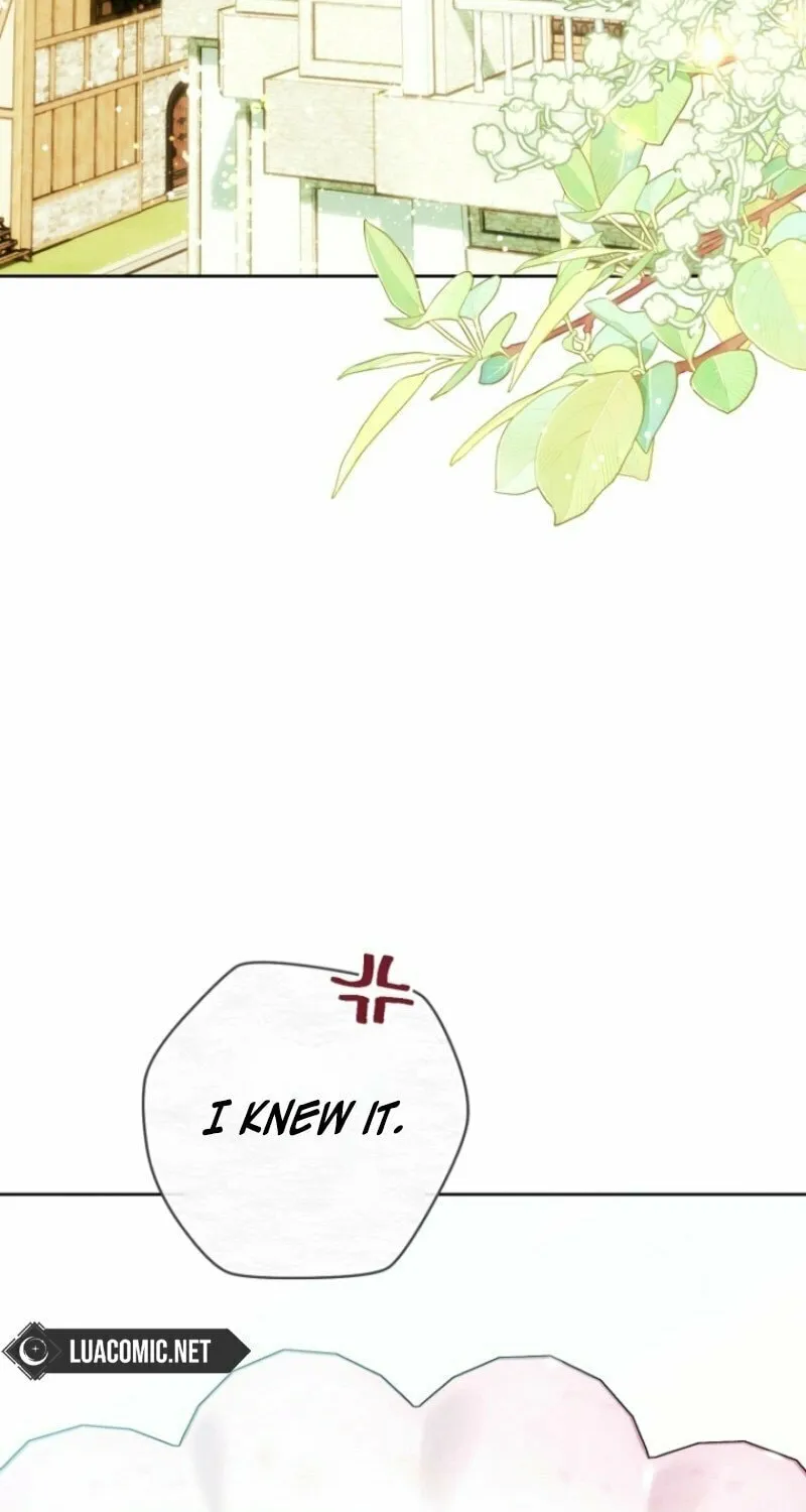This Marriage Will Surely Succeed Chapter 40 page 74 - 