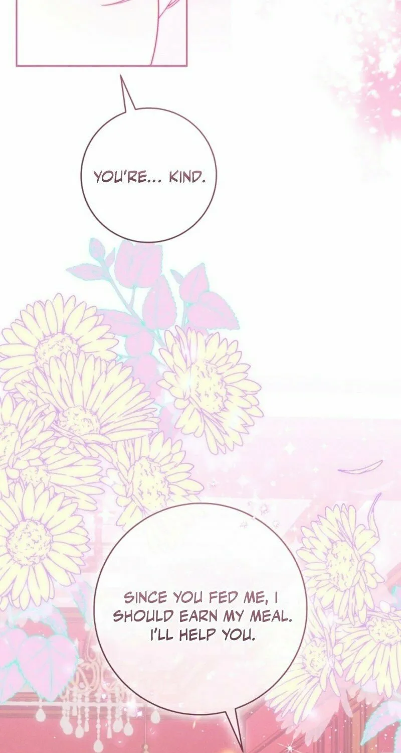 This Marriage Will Surely Succeed Chapter 41 page 19 - 