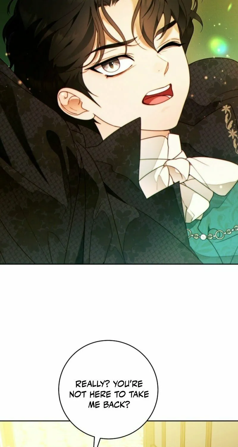 This Marriage Will Surely Succeed Chapter 41 page 3 - 