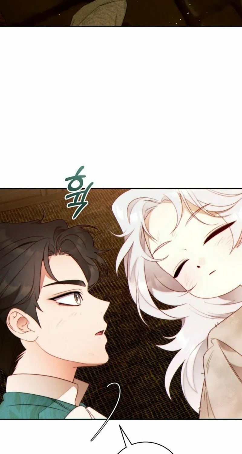 This Marriage Will Surely Succeed Chapter 41 page 83 - 